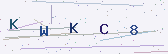 Güvenlik kodu