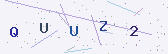 Güvenlik kodu