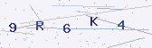Güvenlik kodu