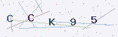 Güvenlik kodu