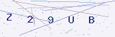 Güvenlik kodu